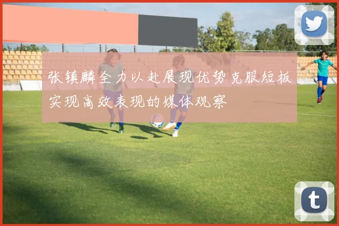 张镇麟全力以赴展现优势克服短板实现高效表现的媒体观察