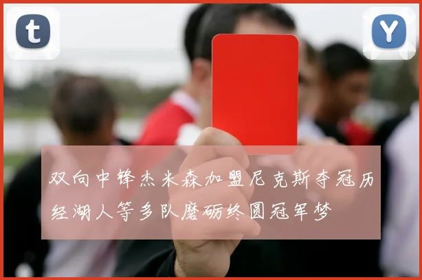 双向中锋杰米森加盟尼克斯夺冠历经湖人等多队磨砺终圆冠军梦