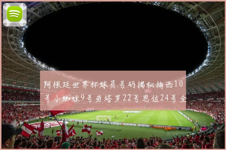 阿根廷世界杯球员号码揭秘梅西10号小蜘蛛9号劳塔罗22号恩佐24号全解析